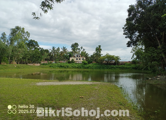 জমি